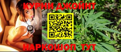 гидропоника Краснознаменск