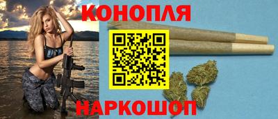 гидропоника Краснознаменск