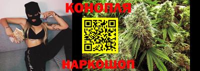 гидропоника Краснознаменск